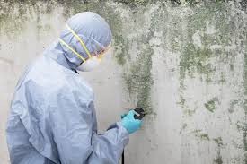 Best Biohazard Mold Removal  in Tariffville, CT